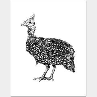 Guinea Fowl Bird Print Posters and Art